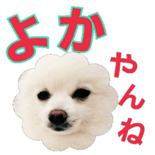 Chikugo word (FUKUOKA) sticker #13814202
