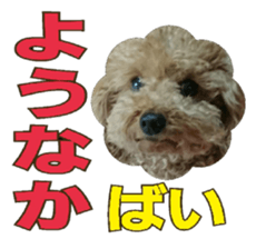 Chikugo word (FUKUOKA) sticker #13814203