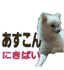 Chikugo word (FUKUOKA) sticker #13814205