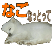 Chikugo word (FUKUOKA) sticker #13814206