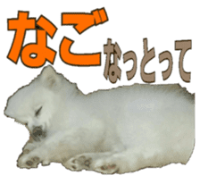 Chikugo word (FUKUOKA) sticker #13814206