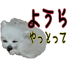 Chikugo word (FUKUOKA) sticker #13814207