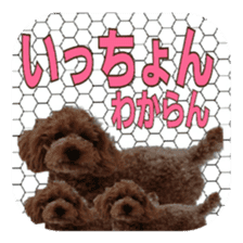 Chikugo word (FUKUOKA) sticker #13814210