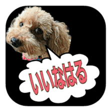 Chikugo word (FUKUOKA) sticker #13814211