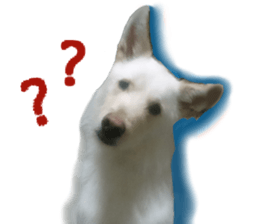 Kyuta&Michi sticker #13814910