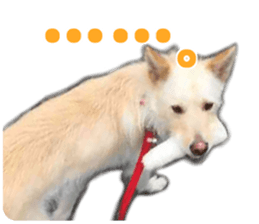 Kyuta&Michi sticker #13814911