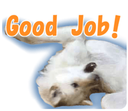 Kyuta&Michi sticker #13814912