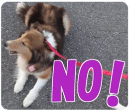 Kyuta&Michi sticker #13814914