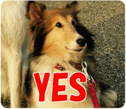 Kyuta&Michi sticker #13814916