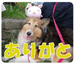 Kyuta&Michi sticker #13814917