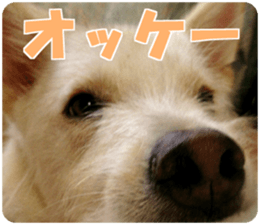 Kyuta&Michi sticker #13814920