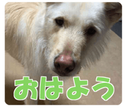 Kyuta&Michi sticker #13814921