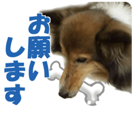 Kyuta&Michi sticker #13814923