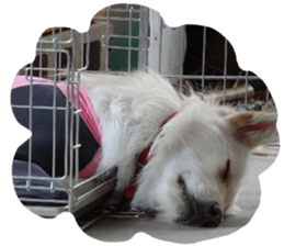 Kyuta&Michi sticker #13814924