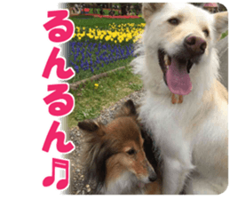 Kyuta&Michi sticker #13814926