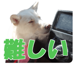 Kyuta&Michi sticker #13814927