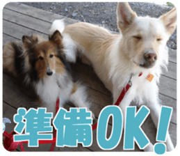 Kyuta&Michi sticker #13814928