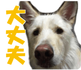 Kyuta&Michi sticker #13814929