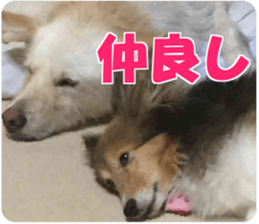 Kyuta&Michi sticker #13814930