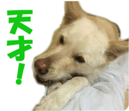 Kyuta&Michi sticker #13814931