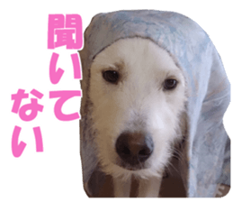 Kyuta&Michi sticker #13814932