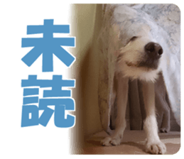 Kyuta&Michi sticker #13814933