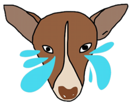 Aryo sticker #13815201