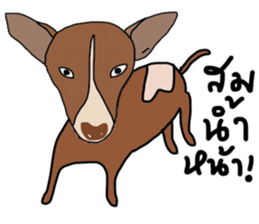 Aryo sticker #13815208