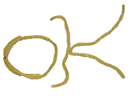 The spaghetti sticker #13815767