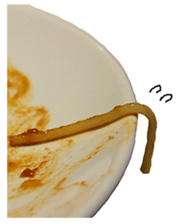 The spaghetti sticker #13815771