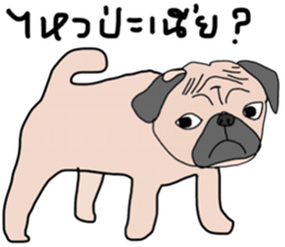 Thonggon sticker #13816270