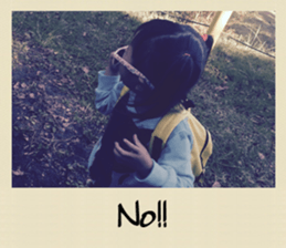 Yuki English Stickers vol,1 sticker #13818089