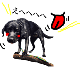 Black Labrador OHANA3 sticker #13818503