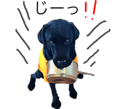 Black Labrador OHANA3 sticker #13818504