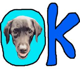 Black Labrador OHANA3 sticker #13818505
