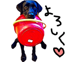 Black Labrador OHANA3 sticker #13818506