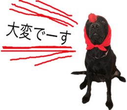 Black Labrador OHANA3 sticker #13818509