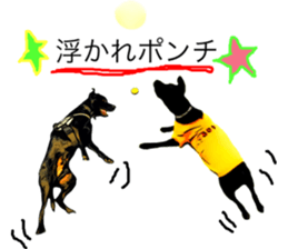 Black Labrador OHANA3 sticker #13818511