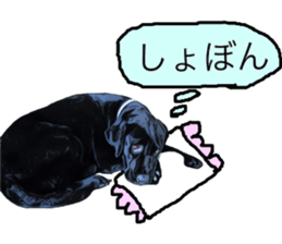 Black Labrador OHANA3 sticker #13818514