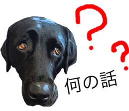 Black Labrador OHANA3 sticker #13818515