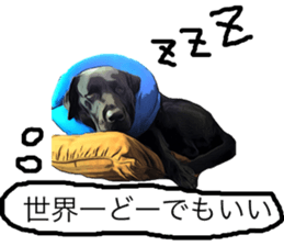 Black Labrador OHANA3 sticker #13818516