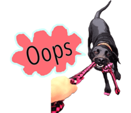 Black Labrador OHANA3 sticker #13818518