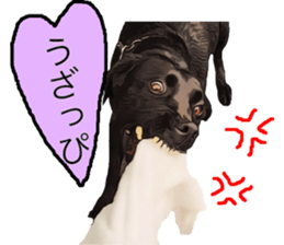Black Labrador OHANA3 sticker #13818519