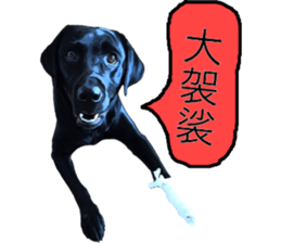 Black Labrador OHANA3 sticker #13818520