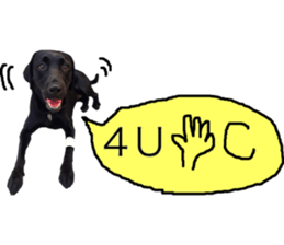 Black Labrador OHANA3 sticker #13818521