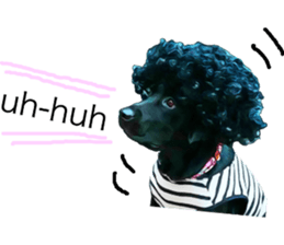 Black Labrador OHANA3 sticker #13818522