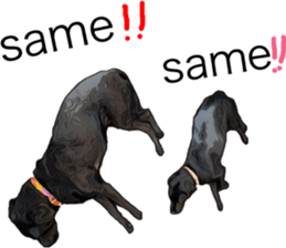 Black Labrador OHANA3 sticker #13818523