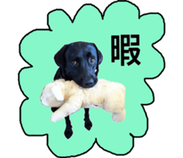 Black Labrador OHANA3 sticker #13818525