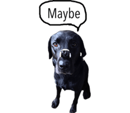 Black Labrador OHANA3 sticker #13818526