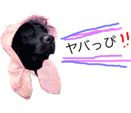 Black Labrador OHANA3 sticker #13818527